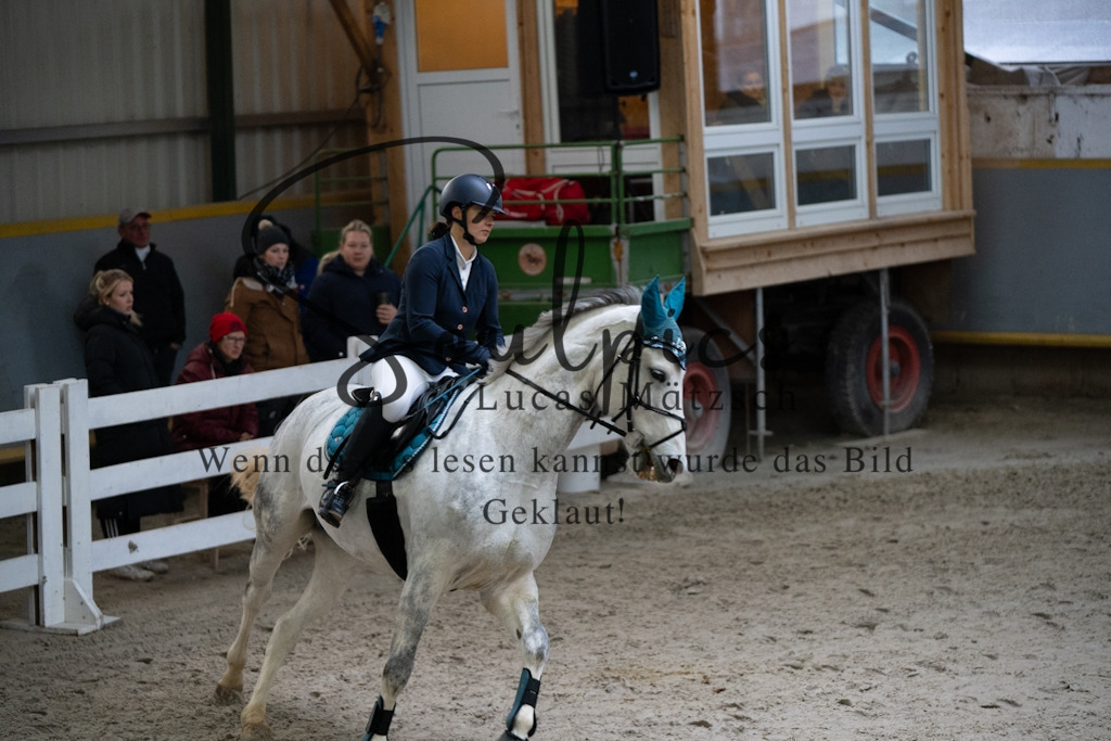 A7V00835 | Pferdefotograf