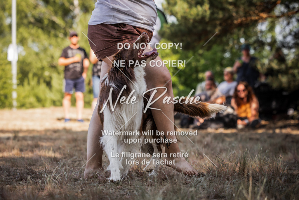 nelerasche_soDD1_455 | nelerasche
