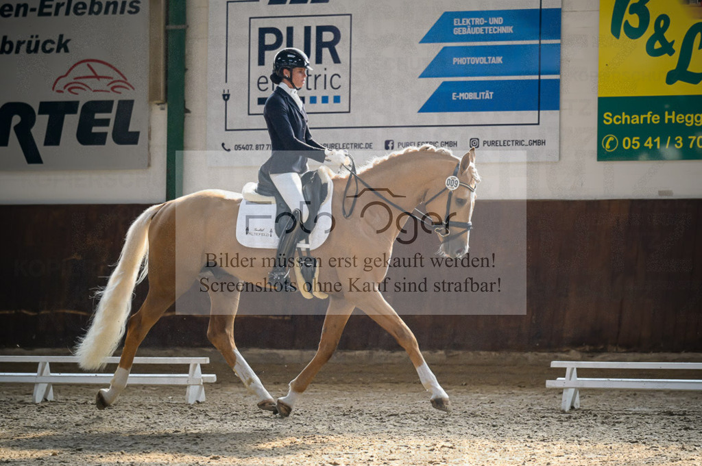 Reitturnier Voxtrup | Entdecke hochwertige Reitturnierfotos von Foto Oger. Professionell, emotional und authentisch – jetzt Lieblingsmomente im Shop bestellen.Deutschlandweite Turnierfotografie. - Realisiert mit Pictrs.com