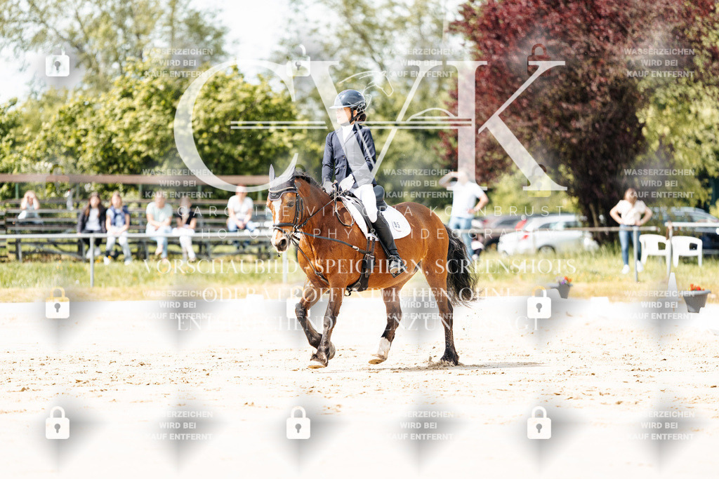 CK901732 | Turnierfotografie Pferdefotografie Trier Rheinland-Pfalz Pferdesport Reitsport Tierfotografie Sportfotografie Pferdevideo Pferdevideografie Equestrianvideography equestrianphotography  - Realisiert mit Pictrs.com