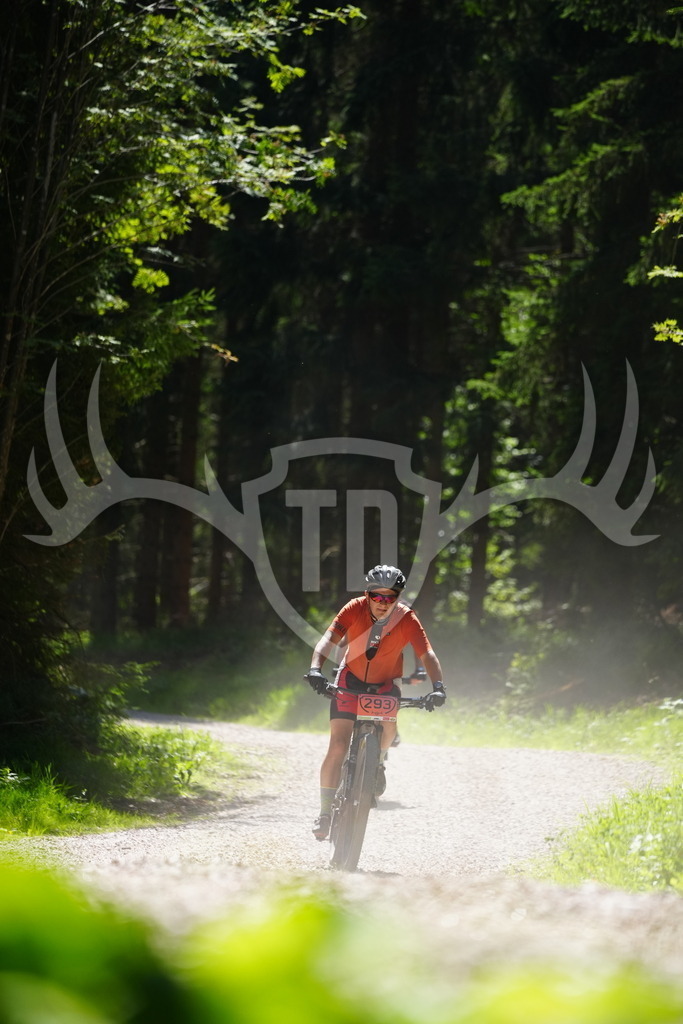 FC102177 | Fotogalerie der Treibjagd im Dunkelwald - Dein MTB Etappenrennen im Erzgebirge - Realisiert mit Pictrs.com