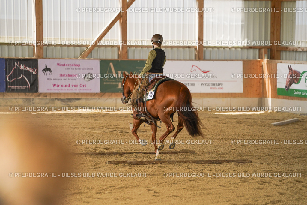 DSC06013 | Pferdegrafie