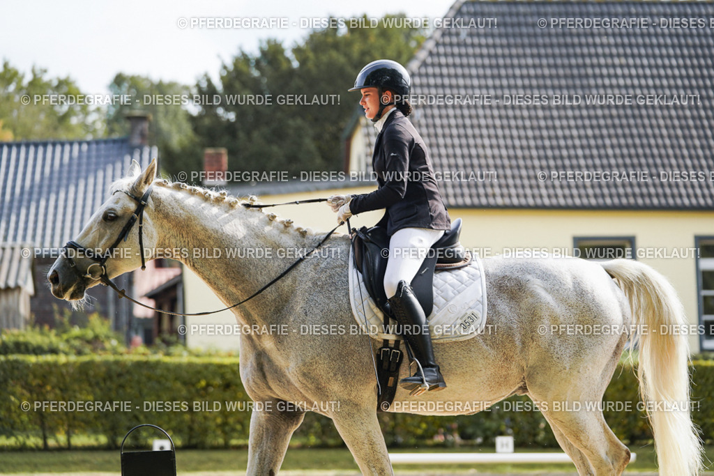 DSC04449 | Pferdegrafie