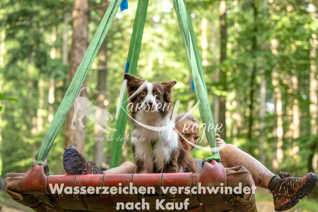 1351_ZZ93866-Bearbeitet | kk-dogfotos
