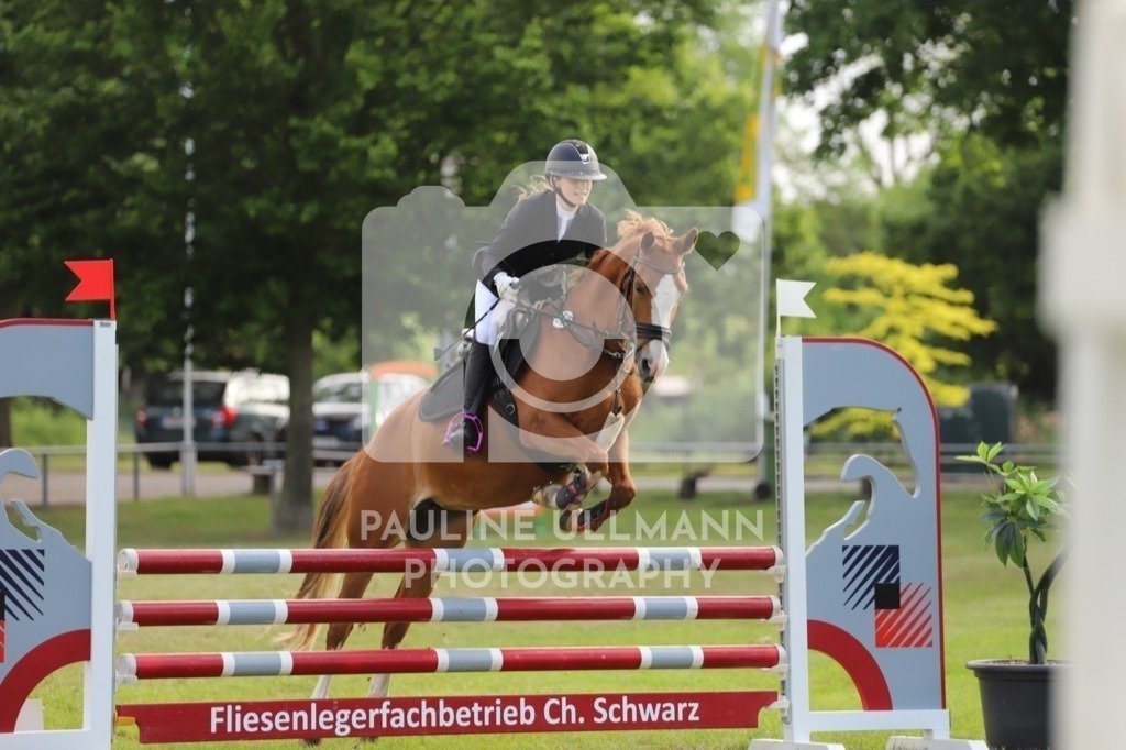 IMG_6842 | Pauline Ullmann Photography - Realisiert mit Pictrs.com