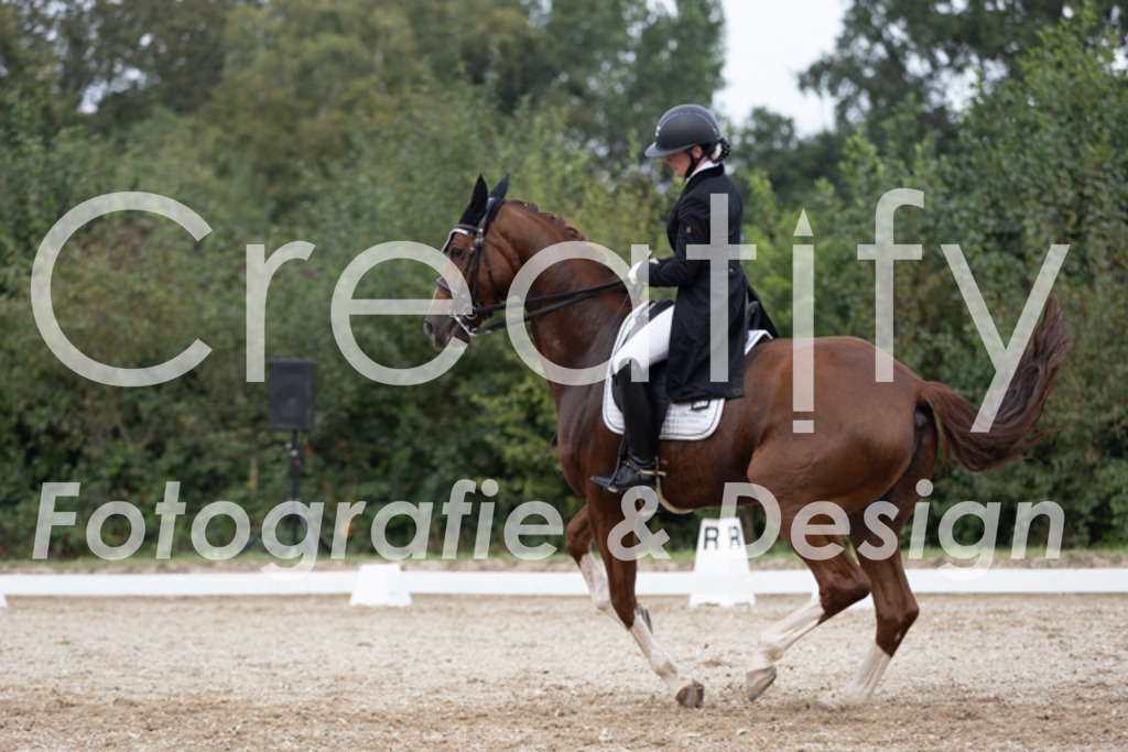 IMG_5731 | Creatify Fotografie