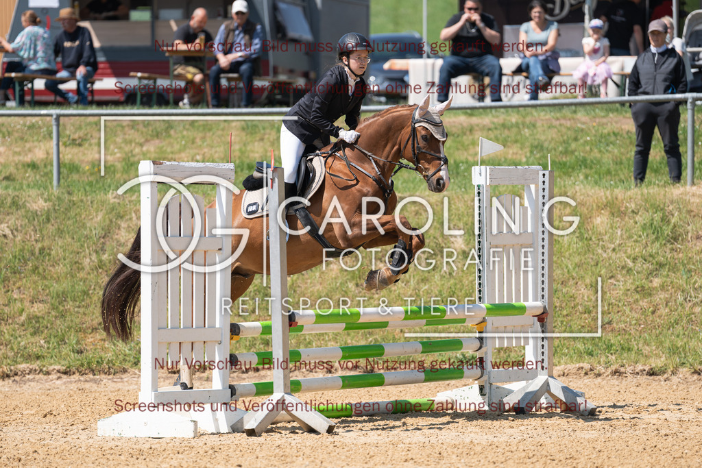 DSC04321 | Springturnier_Ehingen_Mai_2026, Hanna_Zivkovic, Belissimos_Pleasure_T