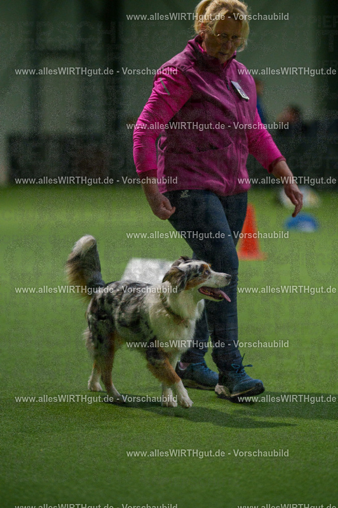 7R504151 | Professionelle Tierfotografie in Mönchengladbach von Daniel Wirth (allesWIRTHgut). Liebevolle & natürliche Bilder von Hunden & Katzen für unvergessliche Erinnerungen.