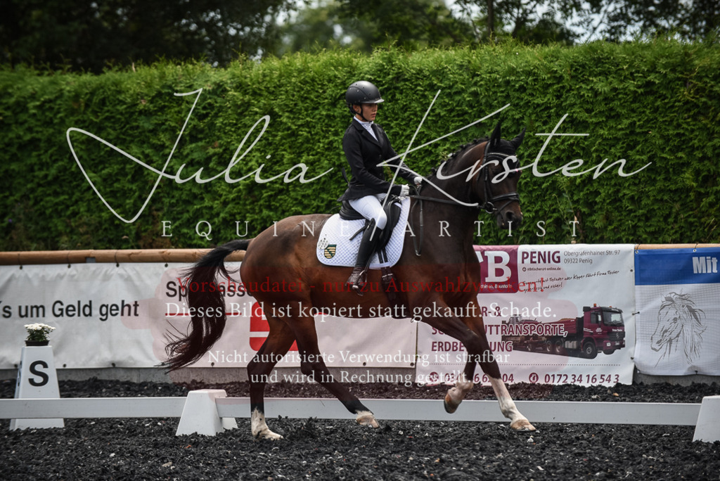 DSC_4580 | Pferde- und Turnierfotografie in Westsachsen. Pferdeportraits, Auftragszeichnungen und intuitive Kunst.