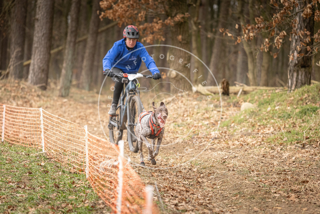 Pfotenfotografie_DV3A3305 | Hundefotografie, Tierfotograf, Pfotenfotografie, Fotoshooting Hund, Hunde Portrait, Hundesport, Hundeportraits, Heideshooting, Hunde, Sportfotograf, Hundefotograf, Turnierhundsport, THS,  - Realisiert mit Pictrs.com