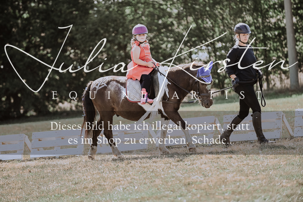 DSC_9092 | Pferde- und Turnierfotografie in Westsachsen. Pferdeportraits, Auftragszeichnungen und intuitive Kunst.