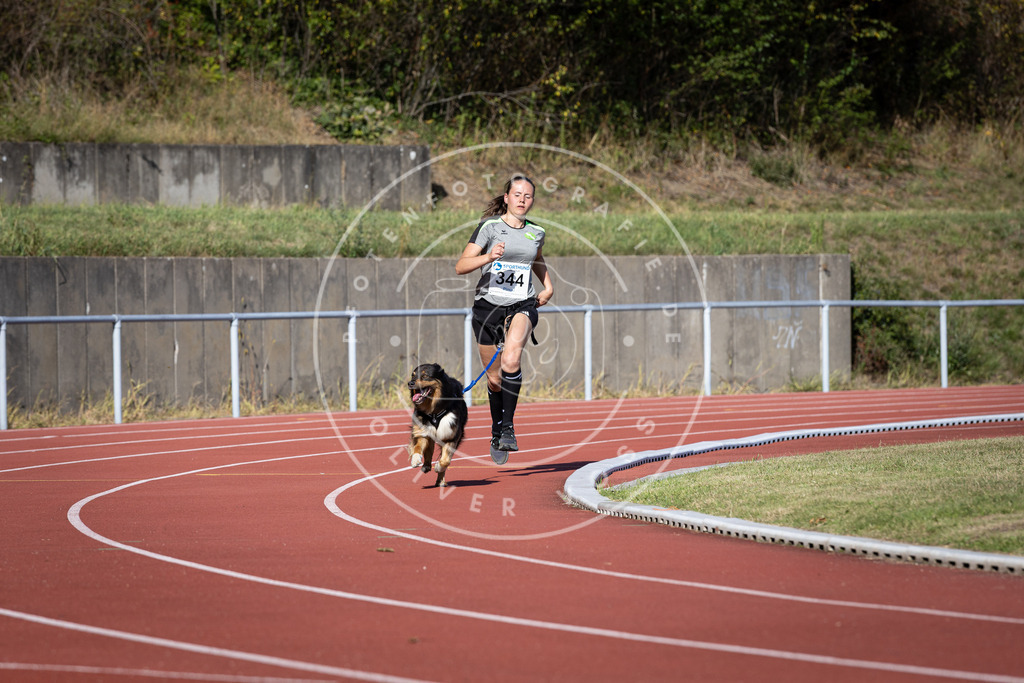 Pfotenfotografie_DV3A8521 | Hundefotografie, Tierfotograf, Pfotenfotografie, Fotoshooting Hund, Hunde Portrait, Hundesport, Hundeportraits, Heideshooting, Hunde, Sportfotograf, Hundefotograf, Turnierhundsport, THS,  - Realisiert mit Pictrs.com