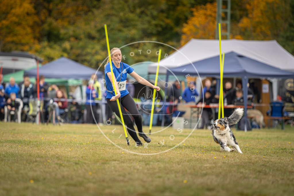 Pfotenfotografie_DV3A4010 | Hundefotografie, Tierfotograf, Pfotenfotografie, Fotoshooting Hund, Hunde Portrait, Hundesport, Hundeportraits, Heideshooting, Hunde, Sportfotograf, Hundefotograf, Turnierhundsport, THS,  - Realisiert mit Pictrs.com