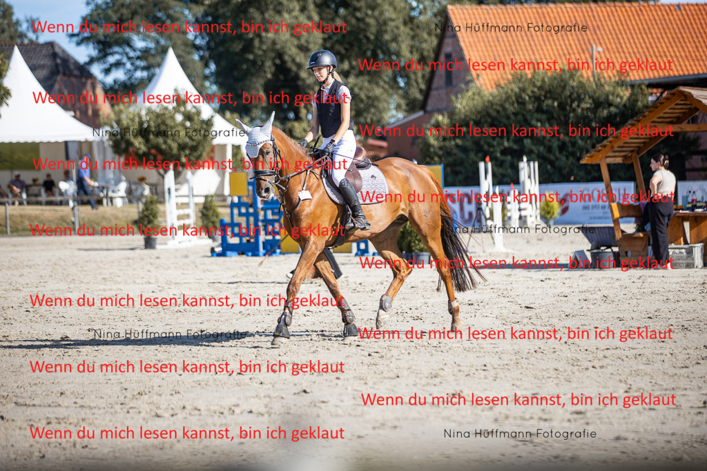 BK1A7288 | Turnierbilder Turnierfotos Nina Hüffmann Turnierfotografie Pferdefotografie Tierzeichnung Haustierzeichnung Pferdezeichnung Hundezeichnung Videograf  - Realisiert mit Pictrs.com