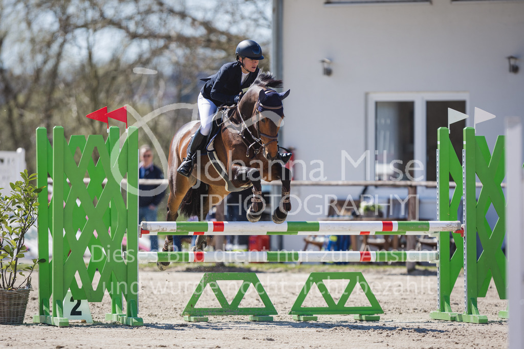 220416_3_A-Springen2-419 | Frühlingsfest der Pferde
Herford
16.April 2022
03/2 Sprigprüfung mit steigenden Anforderungen Kl. A** geschlossen 44-481 RLP