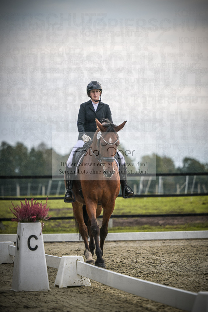 DOS_1776 | Entdecke hochwertige Reitturnierfotos von Foto Oger. Professionell, emotional und authentisch – jetzt Lieblingsmomente im Shop bestellen.Deutschlandweite Turnierfotografie. - Realisiert mit Pictrs.com