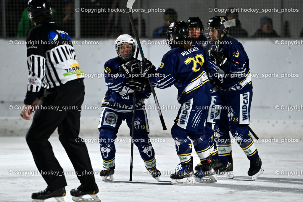 Wildcats Paternion vs. Unicorns Steindorf | Jubel Wildcats Paternion Mannschaft, #4 Oberzaucher Christina WILDCATS PATERNION, #19 Knes Julia WILDCATS PATERNION, #29 Brunner Tatjana WILDCATS PATERNION, #23 Stuppnig Iris WILDCATS PATERNION, Wildcats Paternion vs. Unicorns Steindorf, Wildcats Paternion vs. Unicorns Steindorf am 02.01.2026 in Paternion (Eislaufplatz Paternion), Austria, (Photo by Bernd Stefan)