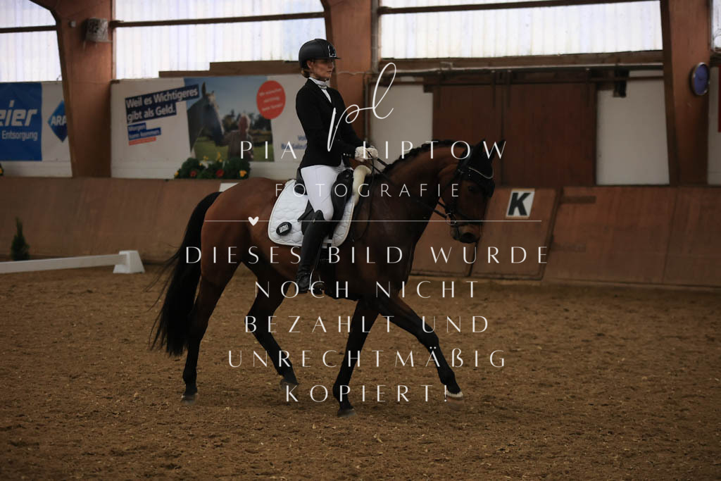 IMGT9579 | pl-fotografie