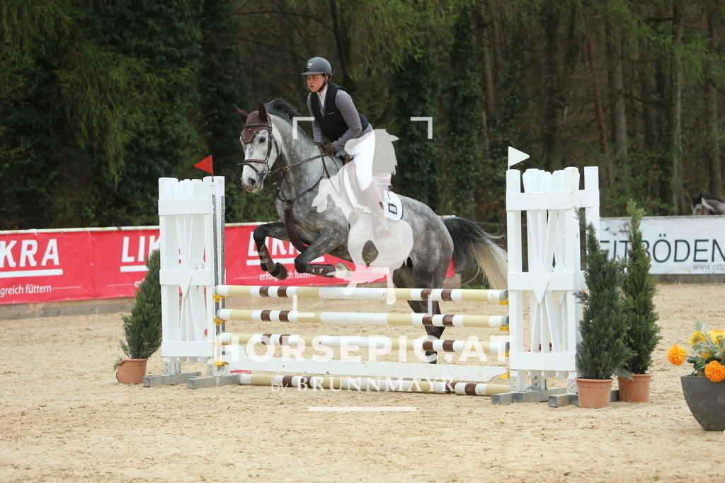 DL2Q1985 | Willkommen bei Brunnmayr - Design & Fotografie – Ihrem Spezialisten für Reitturniere und Pferdeveranstaltungen in Oberösterreich, Salzburg und Bayern! Seit über 17 Jahren sind wir leidenschaftlich dabei.