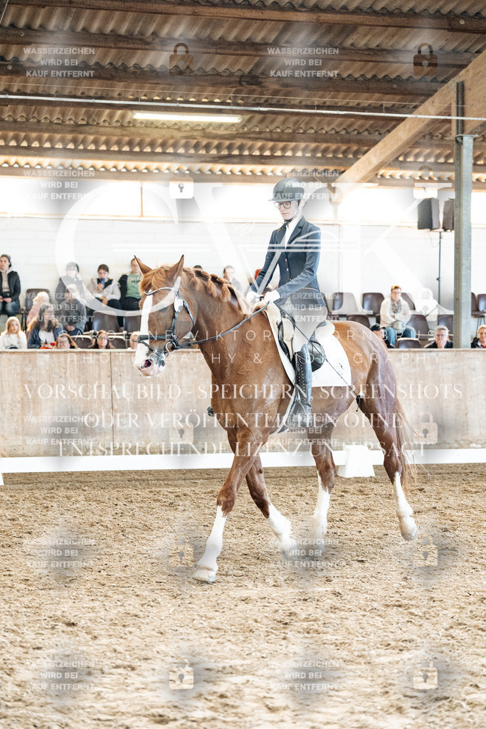CK909986 | Turnierfotografie Pferdefotografie Trier Rheinland-Pfalz Pferdesport Reitsport Tierfotografie Sportfotografie Pferdevideo Pferdevideografie Equestrianvideography equestrianphotography  - Realized with Pictrs.com