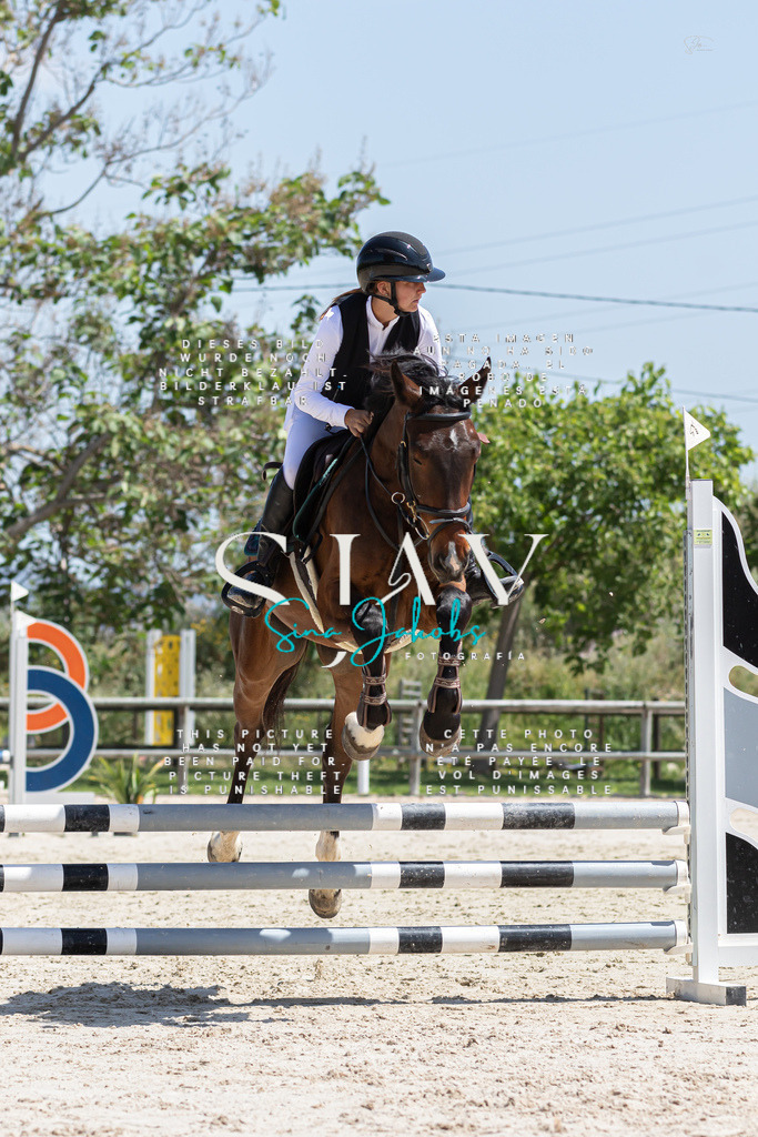 IMG_0459 | s-jay-photography - Realisiert mit Pictrs.com