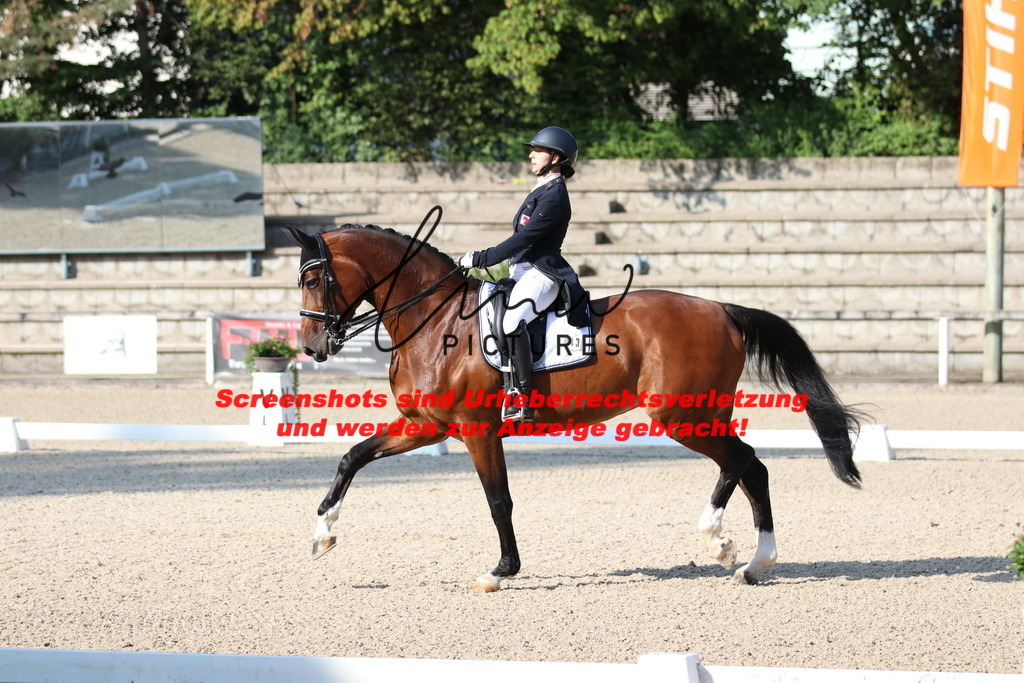 IMG_8867 | lmwpictures - Realisiert mit Pictrs.com