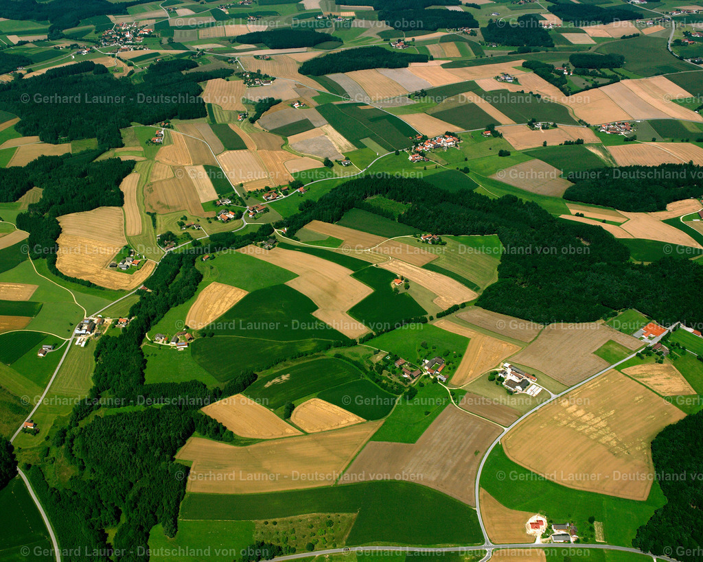 2516350 | March, Reut