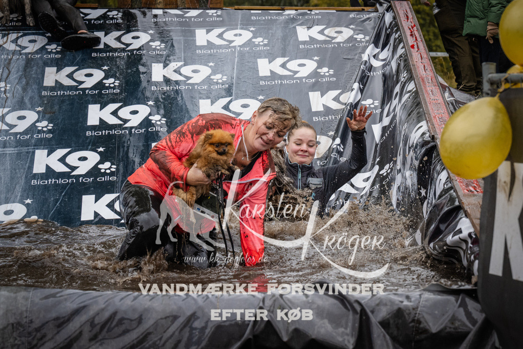 1210_ZZ94546 | kk-dogfotos