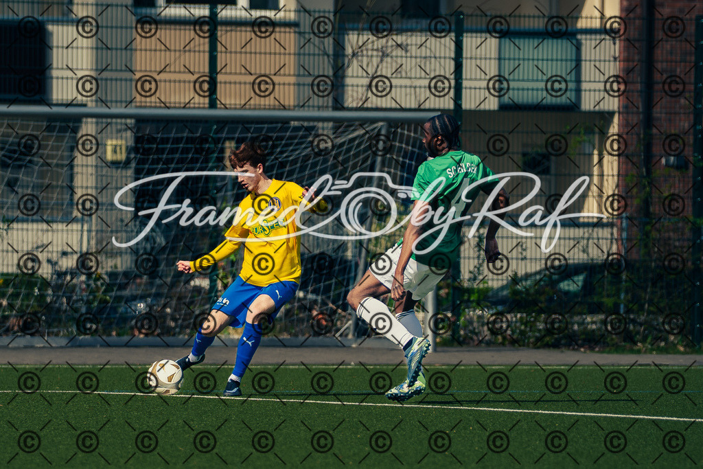 DSC05615 | Professioneller Online-Store für hochwertige Fotografie: Entdecke einzigartige Bilder aus Street, Events und Lifestyle. Sichere dir exklusive Prints und digitale Downloads in bester Qualität für dein Zuhause oder Projekte. - Realisiert mit Pictrs.com