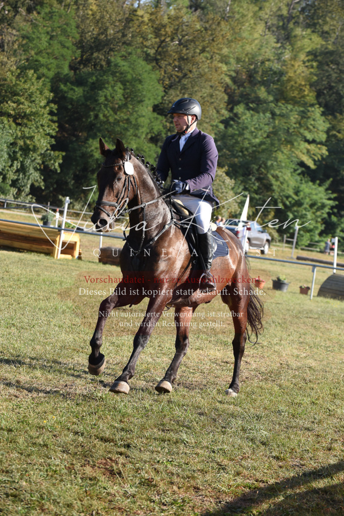 DSC_5123 | Pferde- und Turnierfotografie in Westsachsen. Pferdeportraits, Auftragszeichnungen und intuitive Kunst.