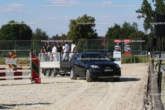 OHT 2022 Röhlingen (13) | Fotografie, Tiere, Hunde, Katzen, Pferde, Sportfotografie, Fotosession, Tierfotografie, Turnierfotografie, Fotografin, Fotograf - Realisiert mit Pictrs.com