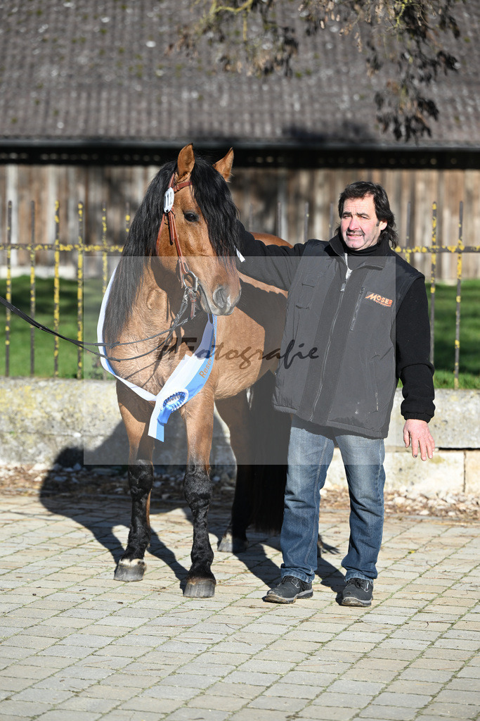 Kat-Nr. 12 Tapadero v. Tape Isidoro_Seefried_49250571 | hf-fotografie - Realisiert mit Pictrs.com