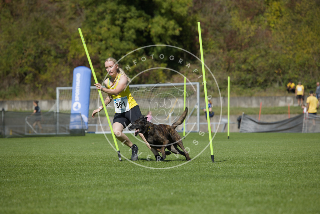 0L8A5782 | Hundefotografie, Tierfotograf, Pfotenfotografie, Fotoshooting Hund, Hunde Portrait, Hundesport, Hundeportraits, Heideshooting, Hunde, Sportfotograf, Hundefotograf, Turnierhundsport, THS,  - Realisiert mit Pictrs.com