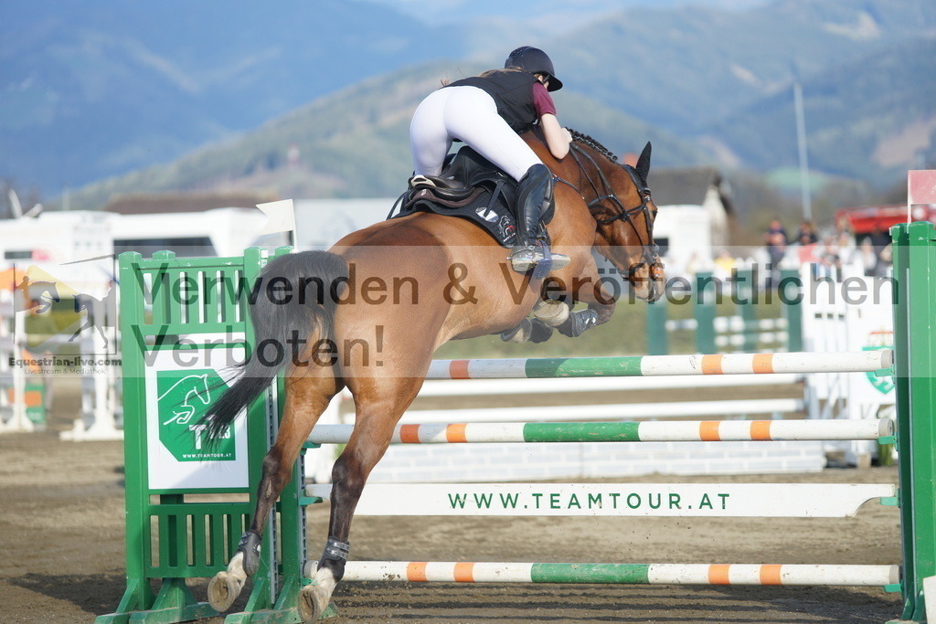 DSC03516 | equestrian-live-com