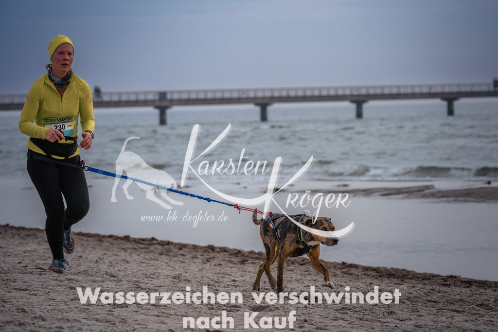 1101_ZZ97315 | kk-dogfotos