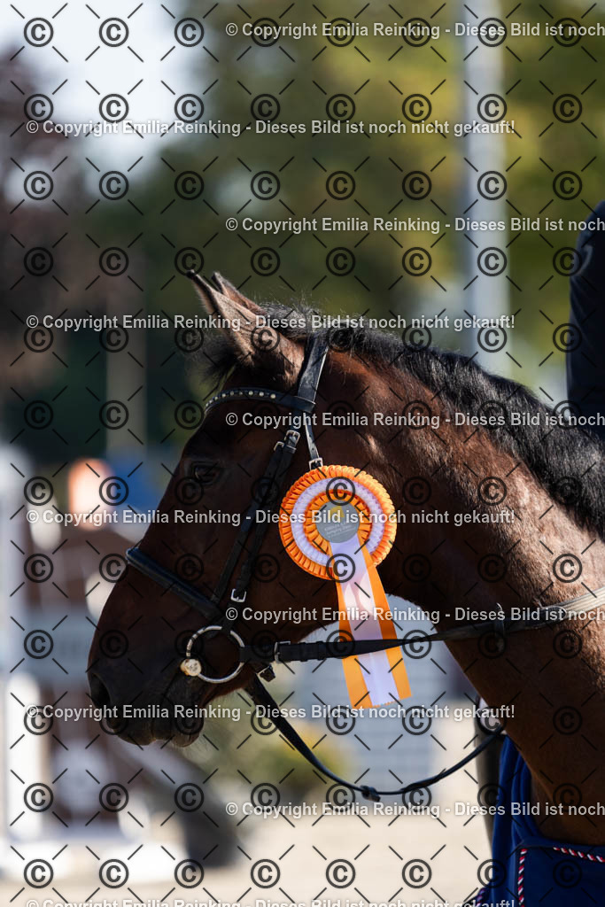 CL5A9593 | Emilia Reinking Fotografie - Realisiert mit Pictrs.com