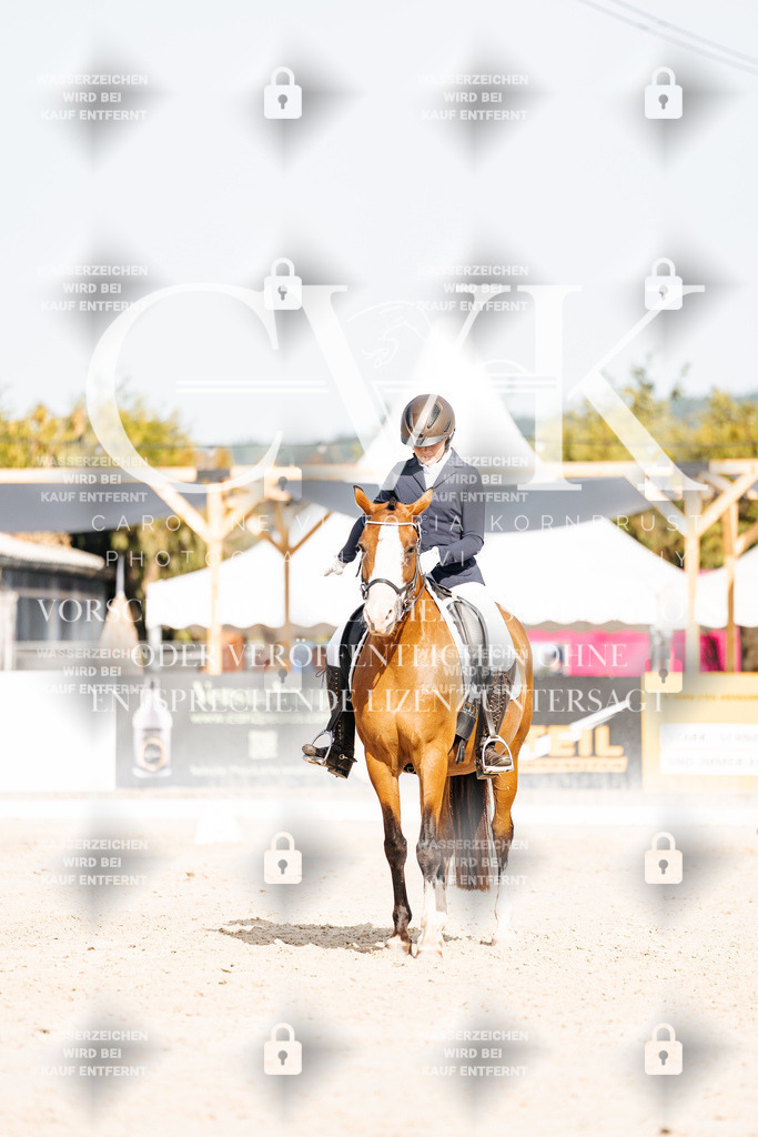 CK905336 | Turnierfotografie Pferdefotografie Trier Rheinland-Pfalz Pferdesport Reitsport Tierfotografie Sportfotografie Pferdevideo Pferdevideografie Equestrianvideography equestrianphotography  - Realisiert mit Pictrs.com