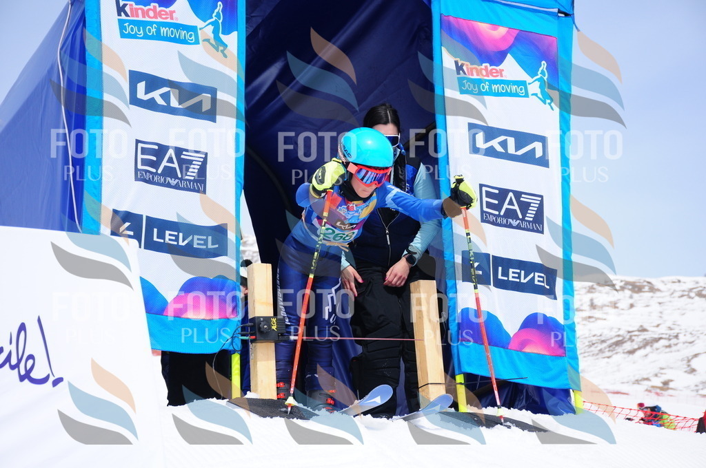 DSC_2555 | holidayphoto