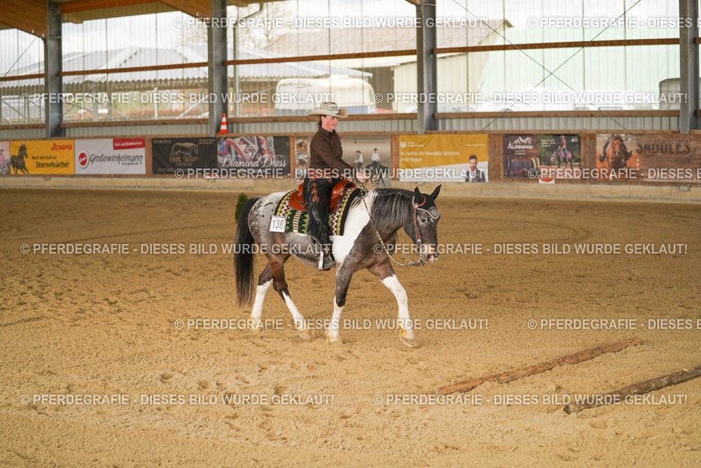 DSC04754 | Pferdegrafie