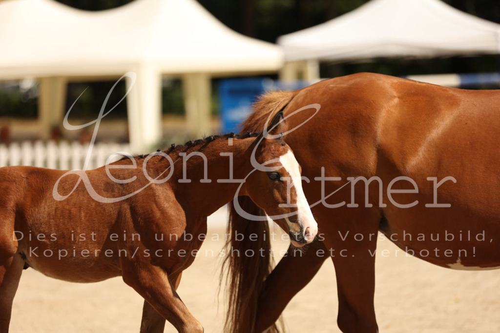 08.DoRPS00059 | Leoni Ertmer Photography - Realisiert mit Pictrs.com