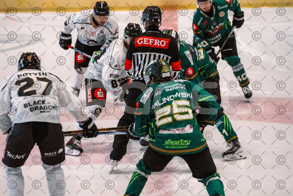 Alligators_vs_Erfurt_06_09_2026-14 | Die Fotogalerie von Daddel: professionelle Bilder von Sport, Events und Unternehmen aus Franken. Jetzt Galerien durchstöbern und Lieblingsfotos bestellen. - Realisiert mit Pictrs.com