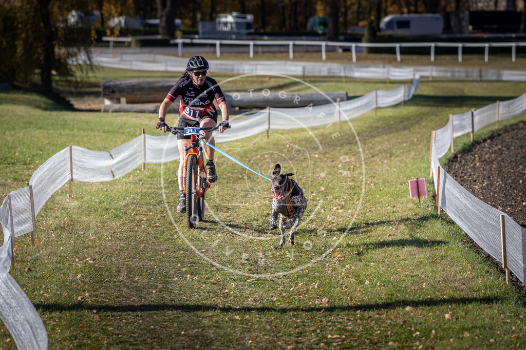 CaniXpix_DV3A6341 | Hundefotografie, Tierfotograf, Pfotenfotografie, Fotoshooting Hund, Hunde Portrait, Hundesport, Hundeportraits, Heideshooting, Hunde, Sportfotograf, Hundefotograf, Turnierhundsport, THS,  - Realisiert mit Pictrs.com