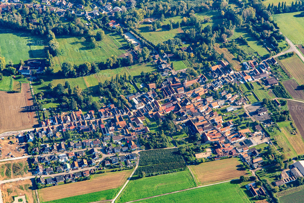 Luftbild: Dorf von Süden im Ortsteil Mühlhofen in Billigheim-Ingenheim im Bundesland Rheinland-Pfalz in Deutschland. Foto: IMG_143501.jpg vom 29.09.2024 durch Werner Riehm/FLY-FOTO.de