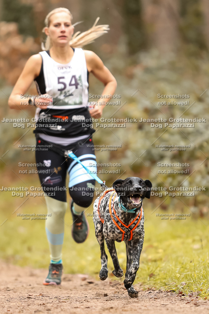 Dog Paparazzi - Speedhunter Mannheim  2025-153 | Dog Paparazzi Jeanette Grottendiek Fotografie & Videografie
