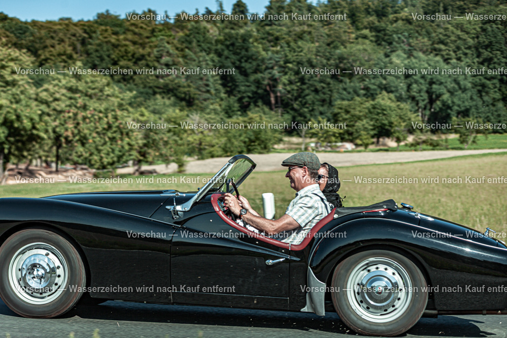Rollhofen 2025_Rückfahrt_0039__MG_0293 | #Grafikstudio Simplex #Fotos Juri Anikanov #Eventfotos #Grafiker #Fotograf #Eventfotograf #Fotograf Lauf #Fotogalerie #Shop #Sportfotograf #Fotograf Lauf an der Pegnitz  #Fotograf Lauf - Realisiert mit Pictrs.com