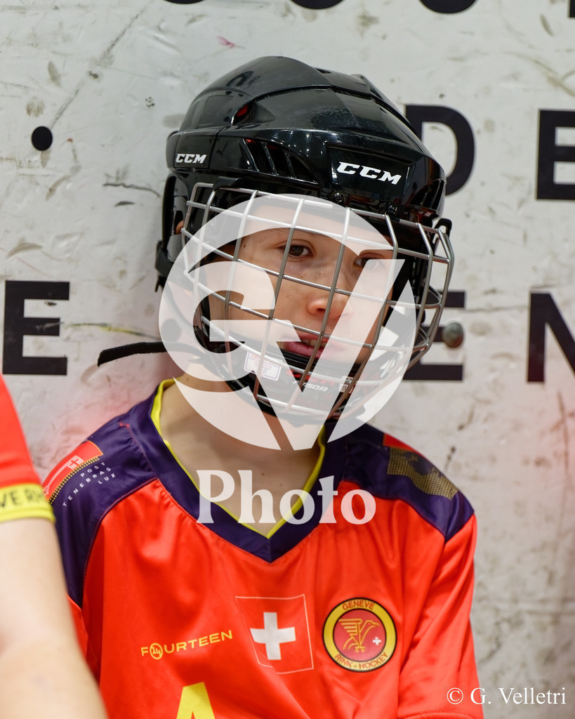 DZ8_3703 | Velletri Photo