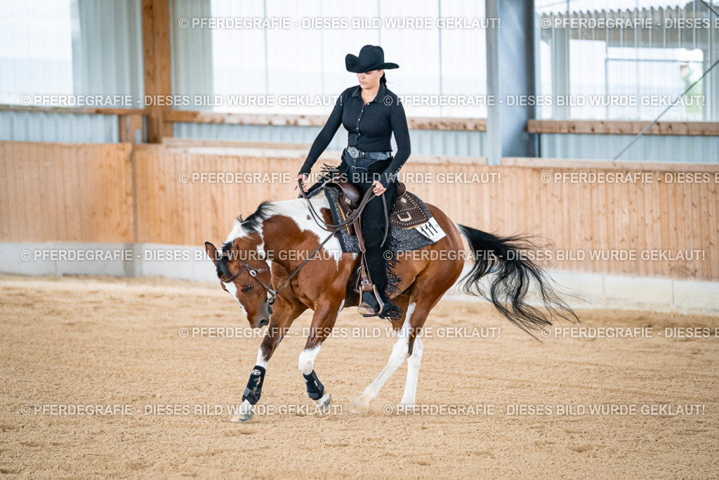 DSC08444 | Pferdegrafie