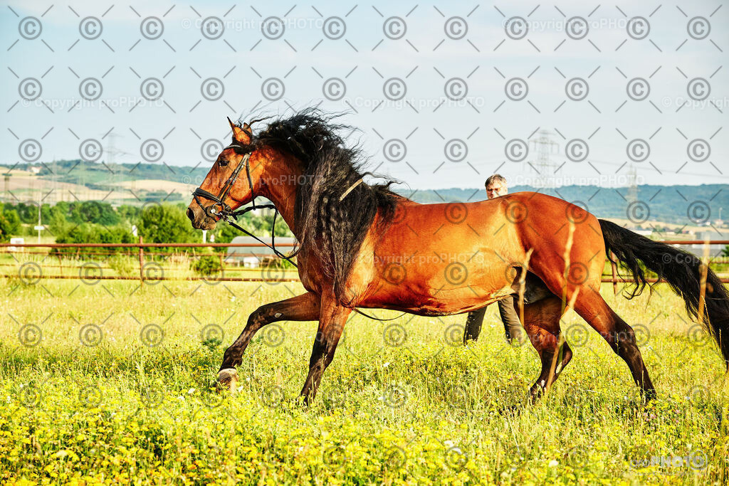 321_202406_Niki-Herodes_NZ9_0275 | proPHOTO - Realisiert mit Pictrs.com