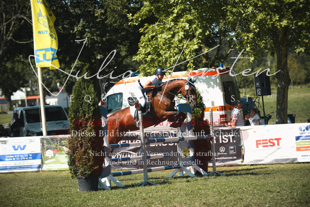 DSC_7242 | Pferde- und Turnierfotografie in Westsachsen. Pferdeportraits, Auftragszeichnungen und intuitive Kunst.