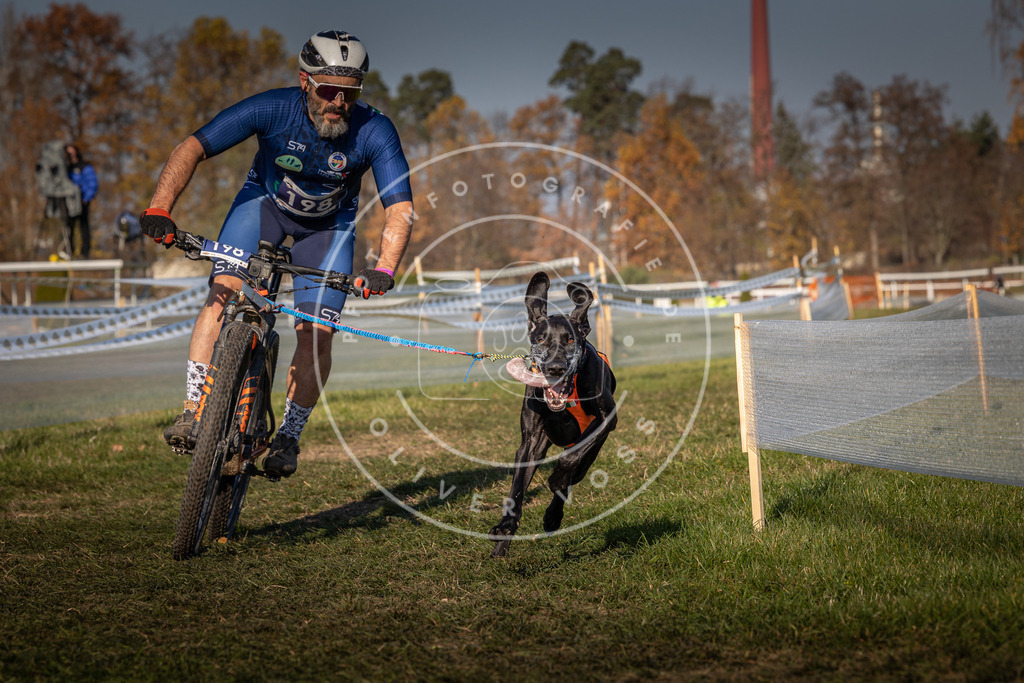 CaniXpix_0L8A6110 | Hundefotografie, Tierfotograf, Pfotenfotografie, Fotoshooting Hund, Hunde Portrait, Hundesport, Hundeportraits, Heideshooting, Hunde, Sportfotograf, Hundefotograf, Turnierhundsport, THS,  - Realisiert mit Pictrs.com